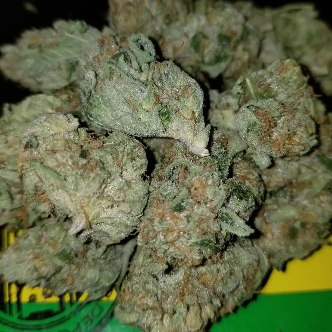 White-Fire-OG.jpg