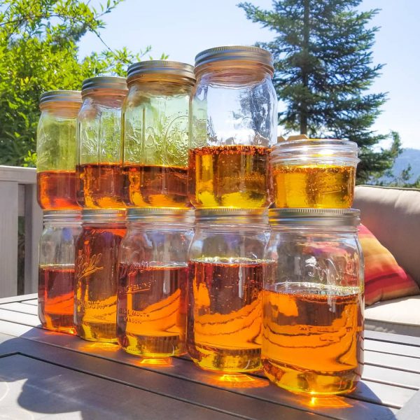 Buy Delta 9 distillate Oil Online in Saudi Arabia