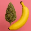Banana Kush