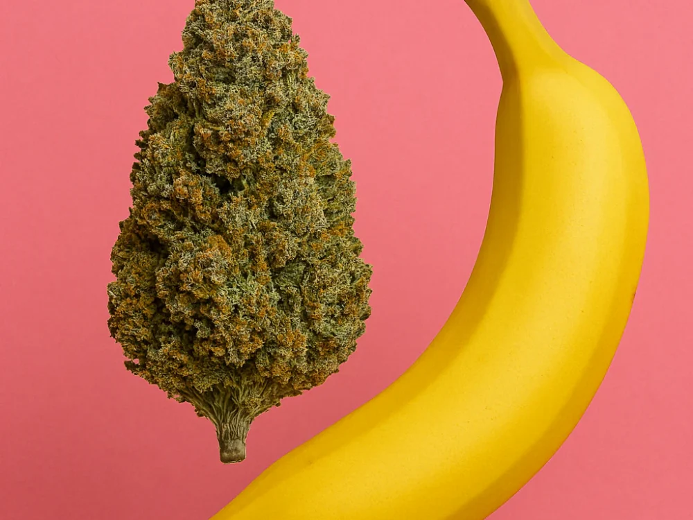 Banana Kush Cbd