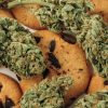 Berner Cookies Strain