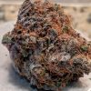 Black Cherry Maduro Strain