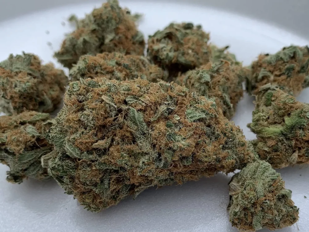 Black Russian Strain