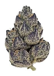 Blissful Wizard Strain