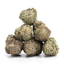 Buddha Cheese Strain