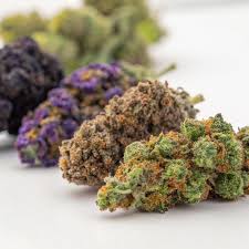 Buy Sativa Weed Online