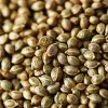 Buy Weed Seeds Near Me