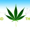Cbd