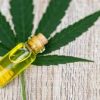 Cbd Oil