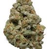 Dutch Crunch Strain