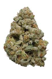 Dutch Crunch Strain