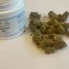 French Cookie Strain