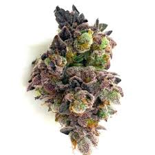 French Cookies Strain