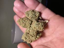 Golden State Banana Strain