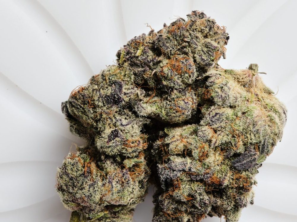 Guava Cake Strain