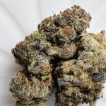Guava Cake Strain