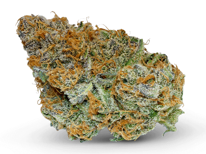 Jelly Bean Weed