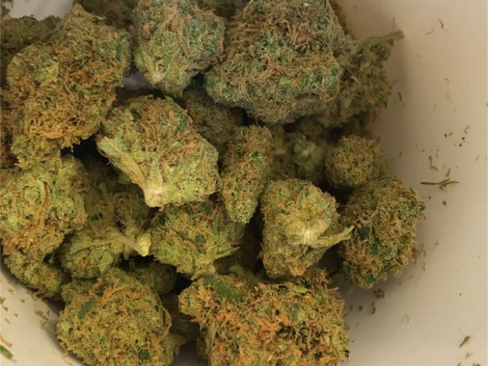 Jillybean Strain