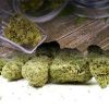 Memberberry Strain