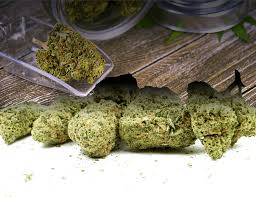 Memberberry Strain