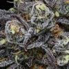Mendo Breath Weed