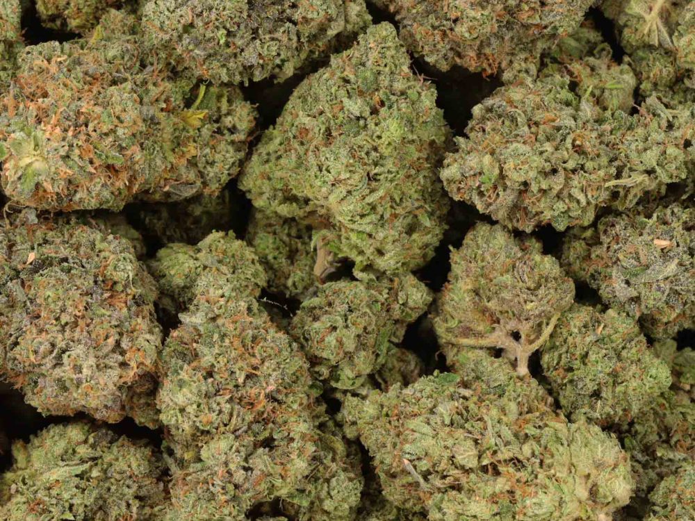 Pinkman Goo Price Per Gram