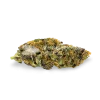 Pinkman Goo Seeds