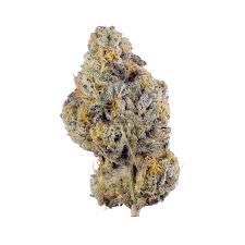 Queen Mother Goji