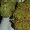 Queen Mother Strain