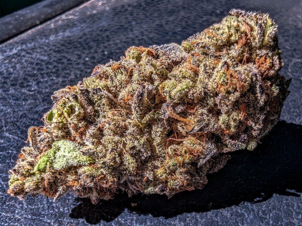 Tangie Cookies Strain