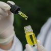 Thc Oil