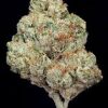 White Fire Strain