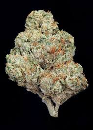 White Fire Strain