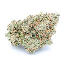 Wifi Og Strain